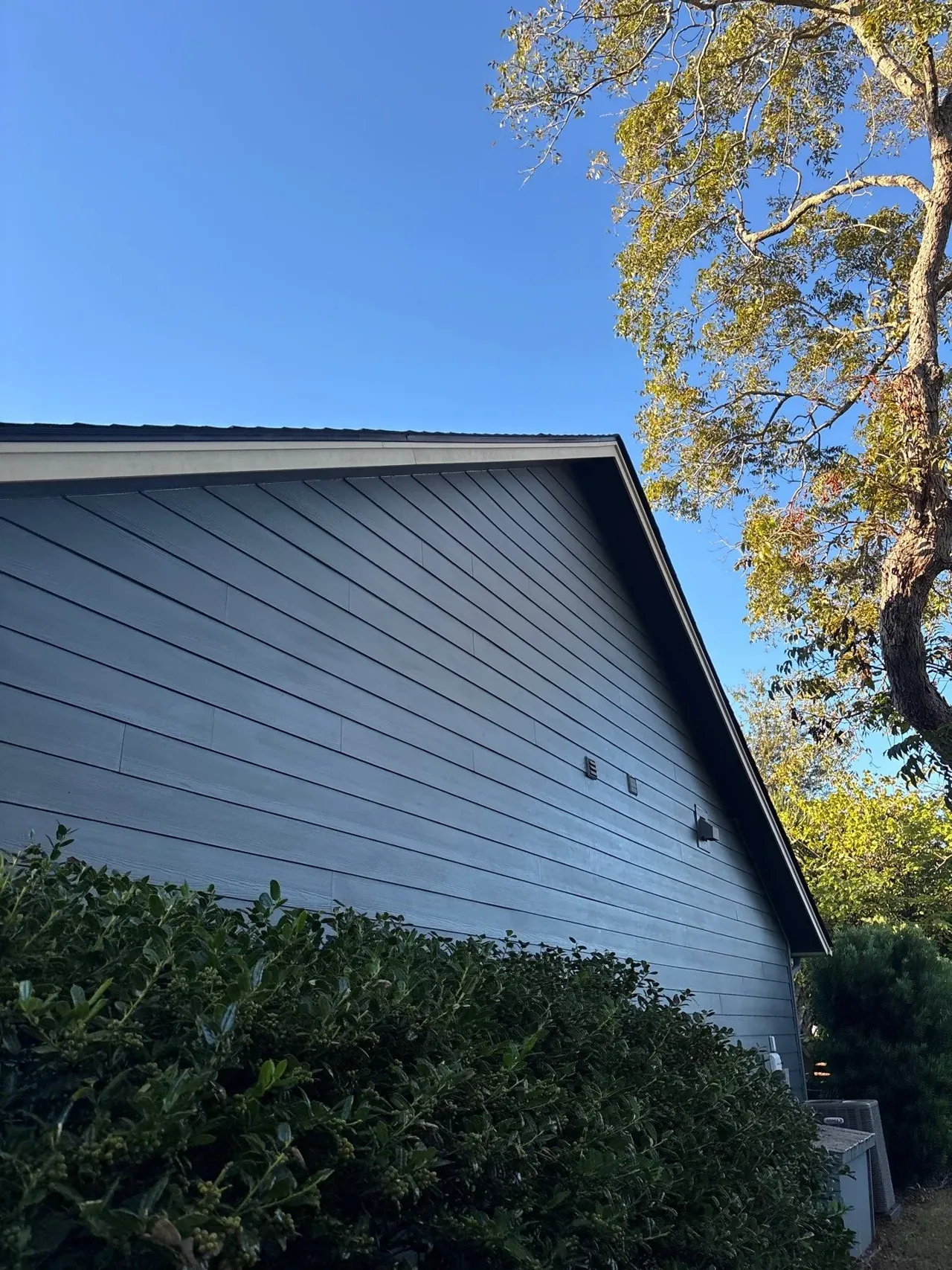 Horizontal blue siding continuing across a gable above shrubs
