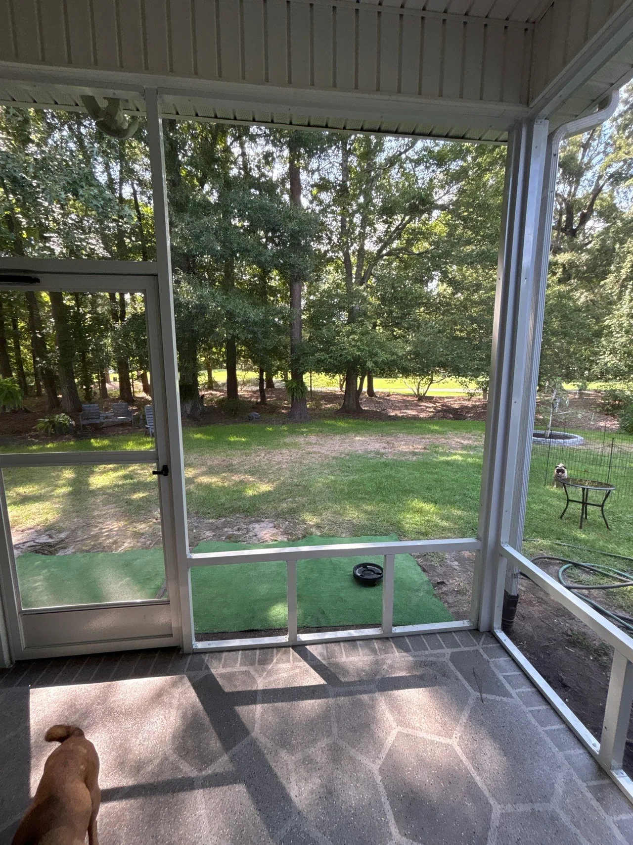 White-framed porch screens with separate lower panels and a hinged screen door overlooking the yard.